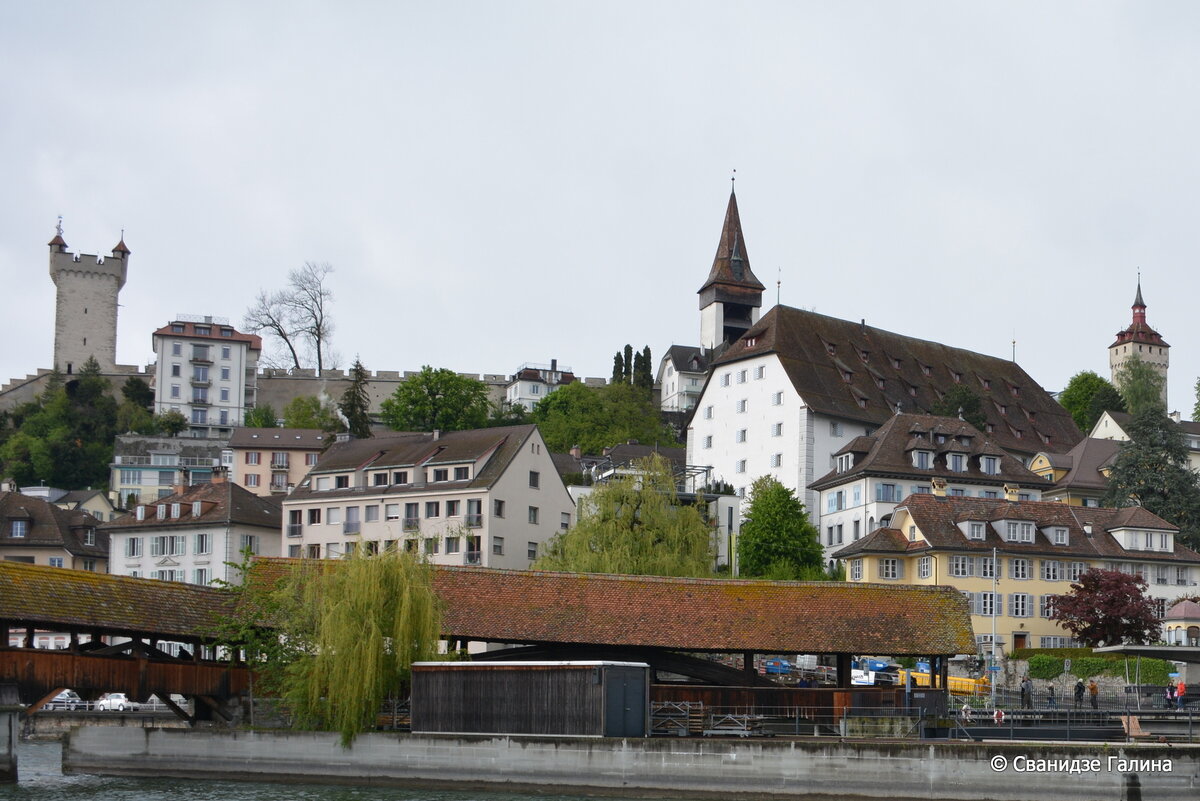 SGS_9472.JPG