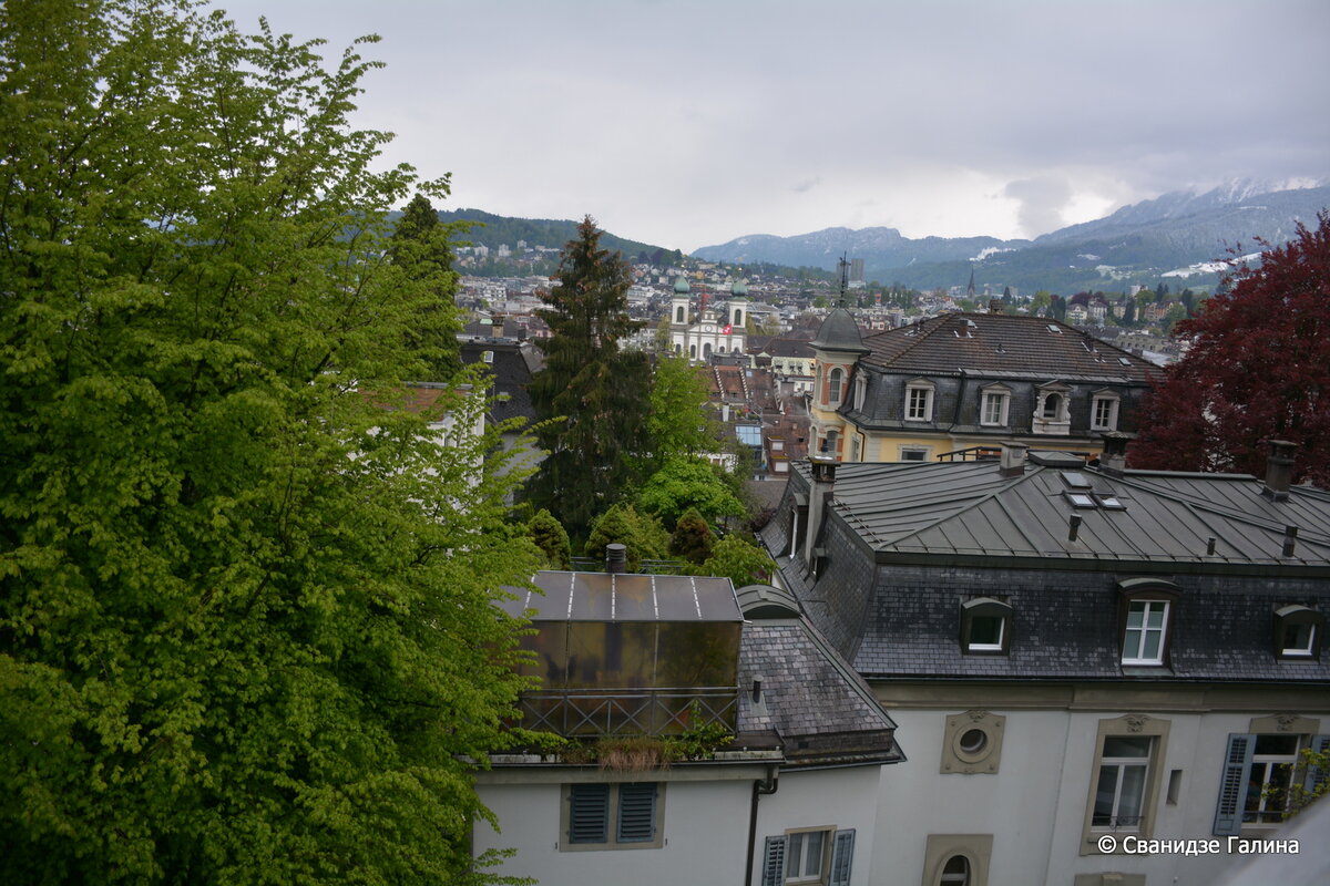 SGS_9722.JPG
