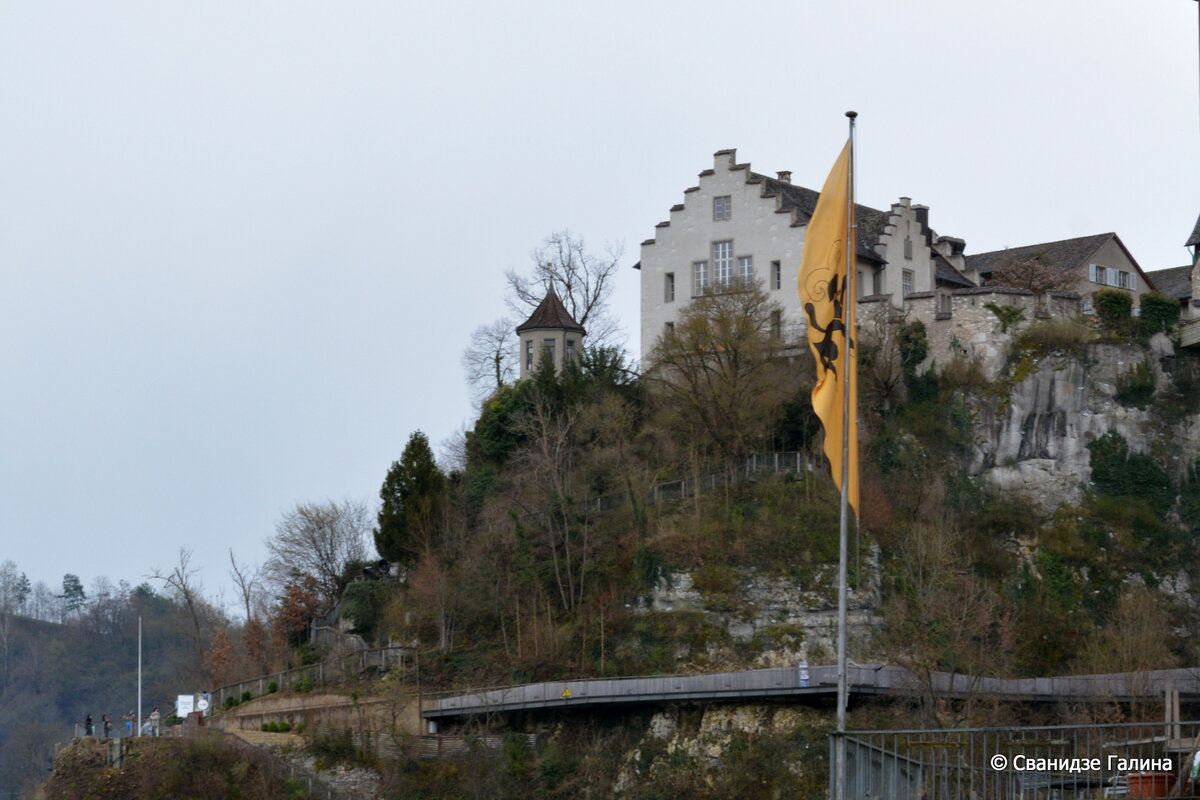 DSC_5904.JPG