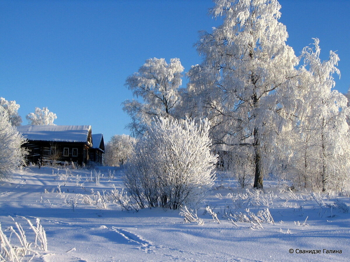 экз_1 019.jpg