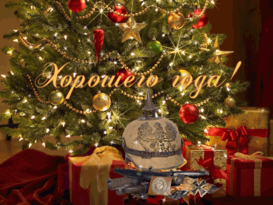 IMG_6322.GIF