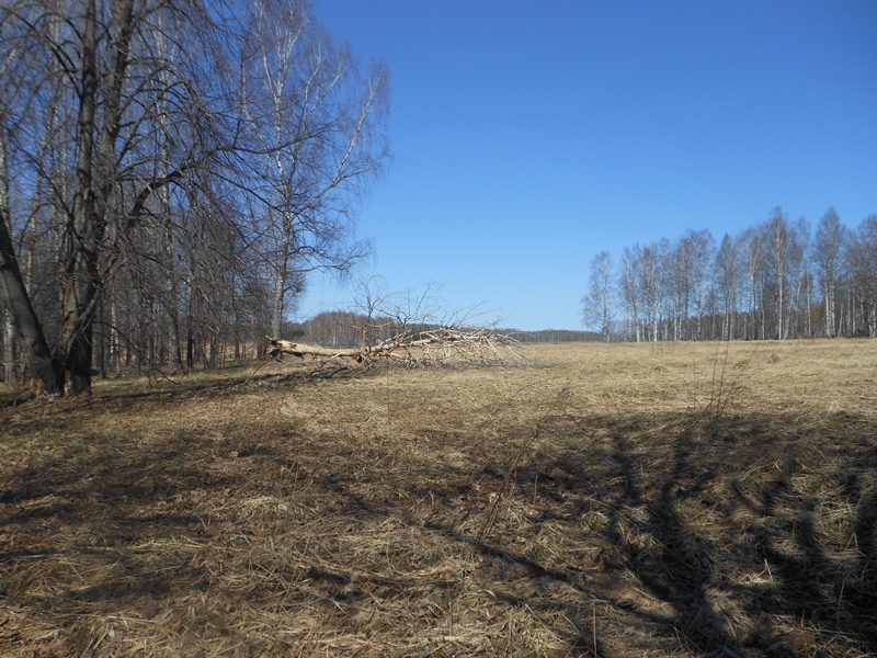 DSCN1052.JPG