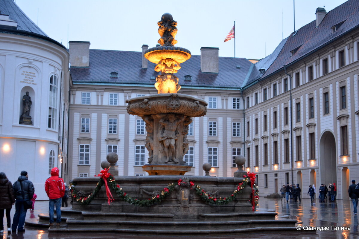 DSC_0113.JPG