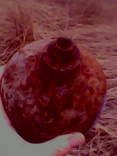 IMG0023A.jpg