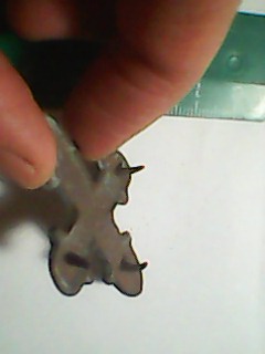 IMG0071A.jpg