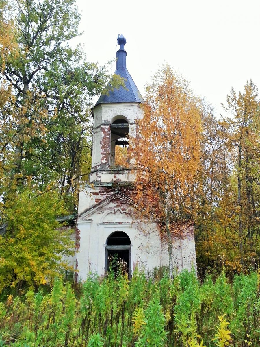 20171013_135341_2.jpg