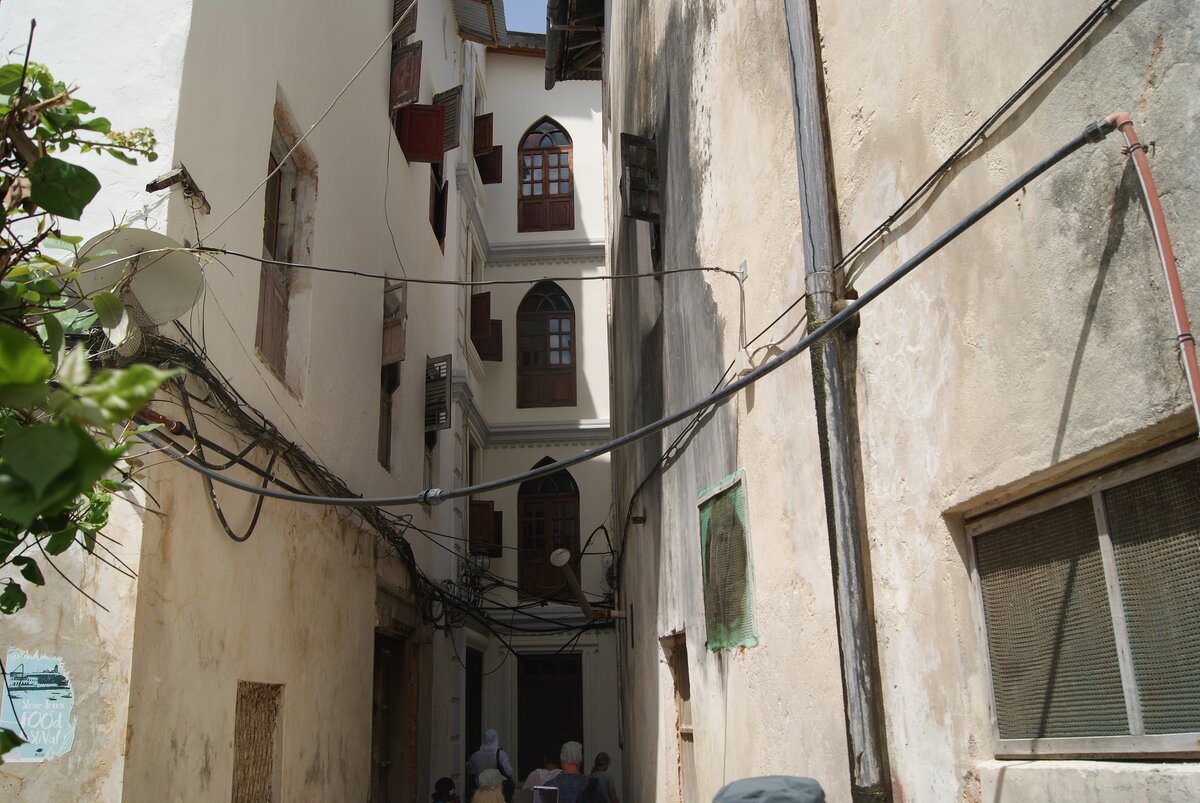 DSC02785.JPG