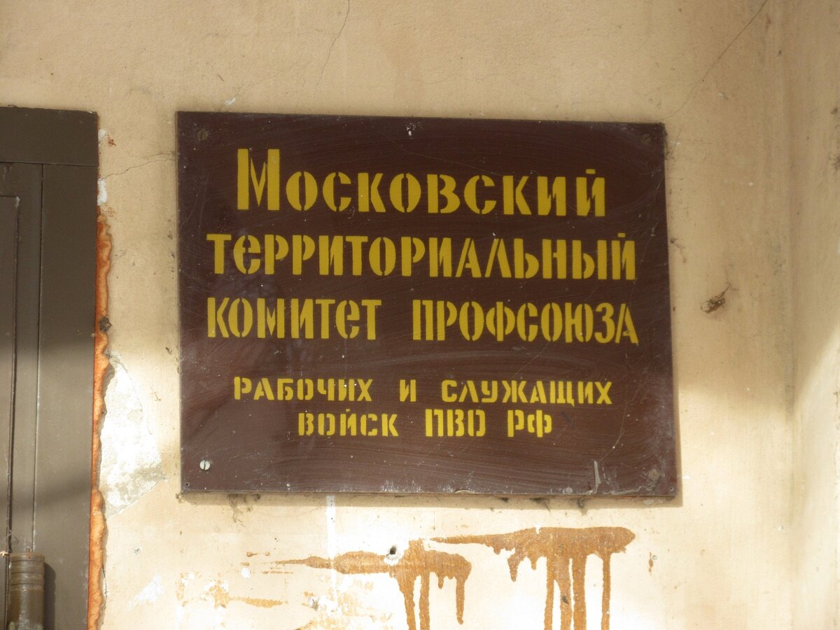 17.JPG