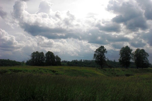 h-2493.jpg