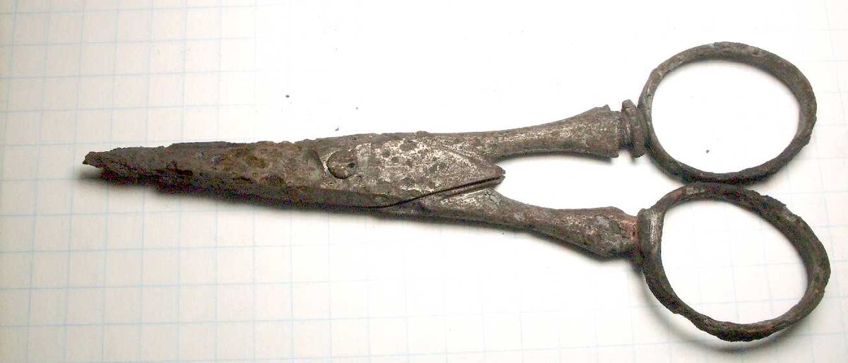 SDC19223.JPG