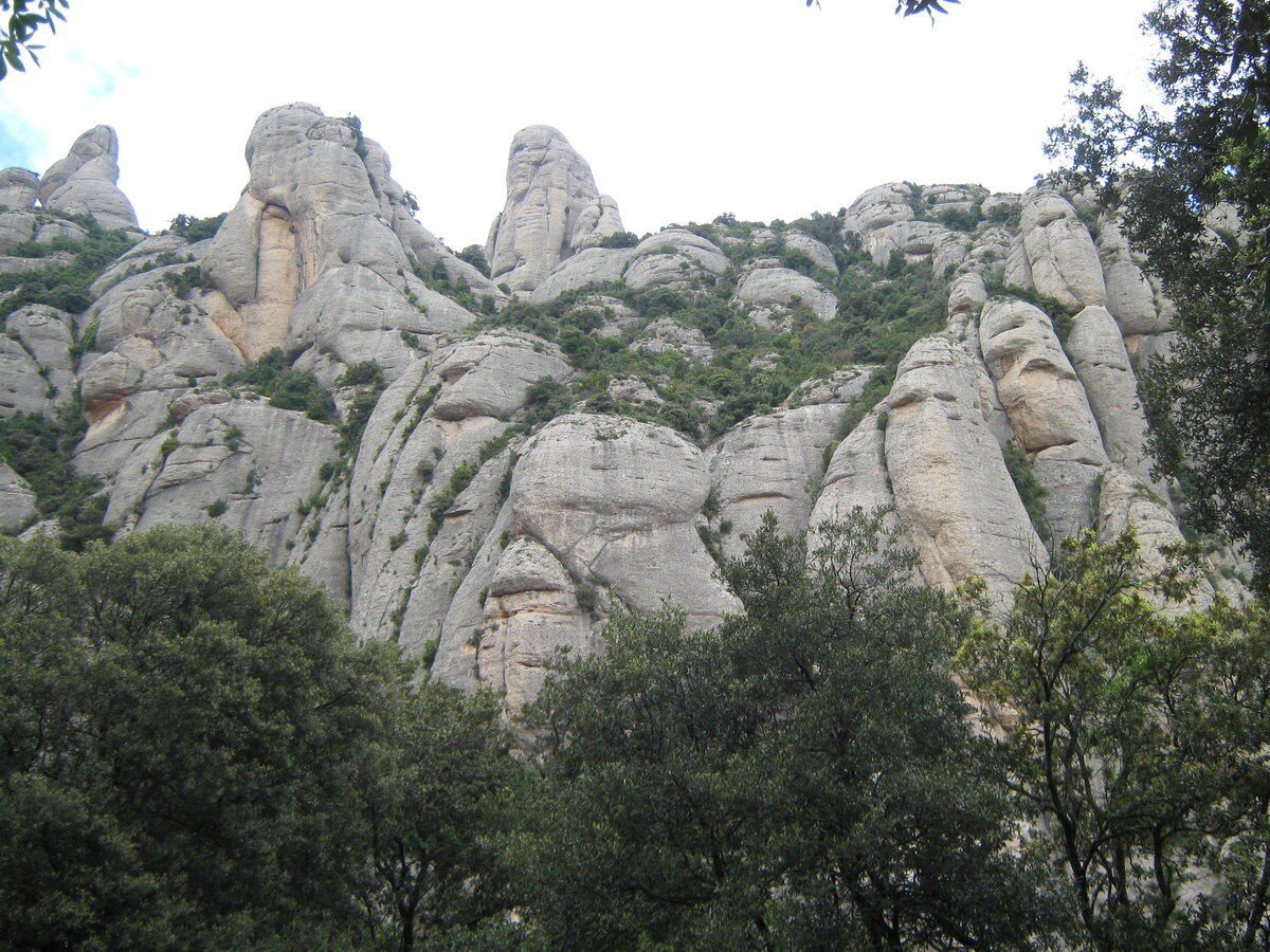 IMG_0646.JPG