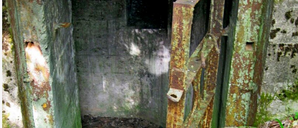 1065050-c2f0cacca7db733c263f747c38c540c3 (1).jpg