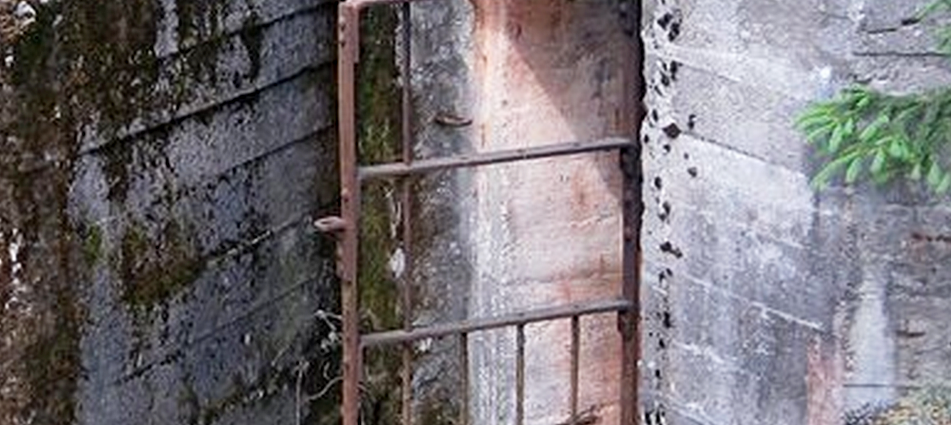 Opera Снимок_2021-04-29_205203_smolbattle.ru.png