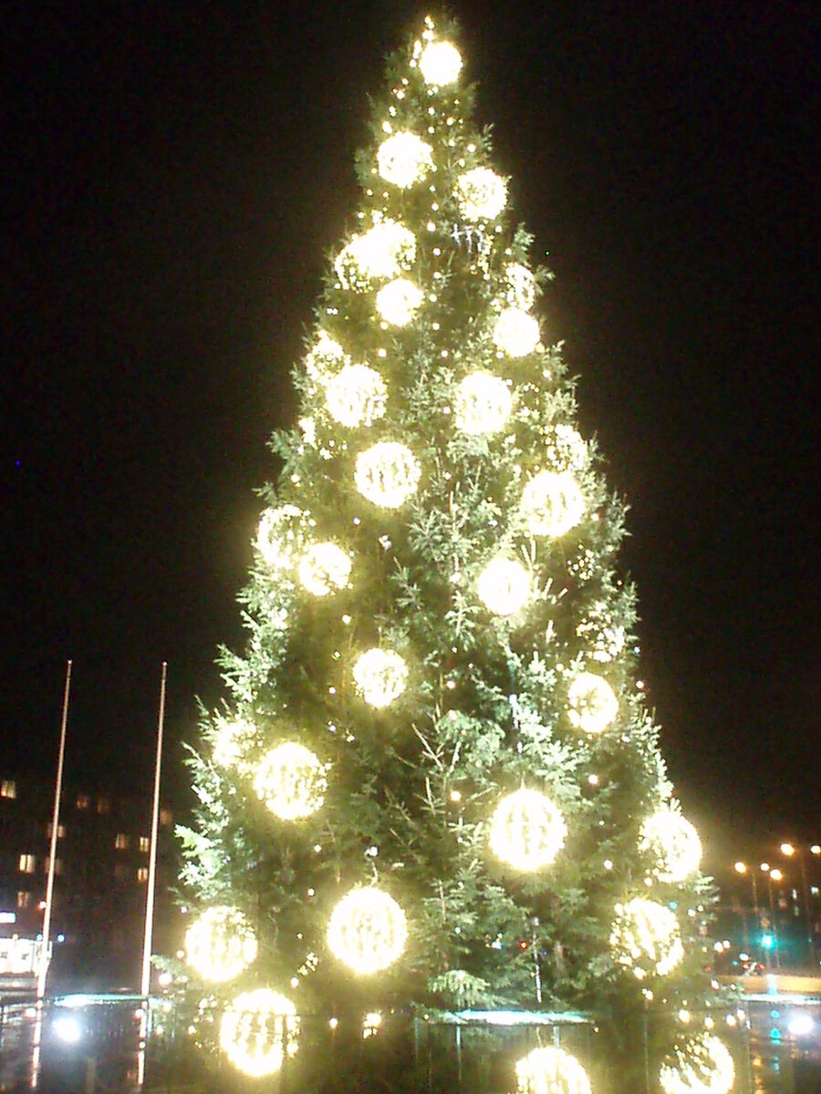 ноябрz2013 014.jpg