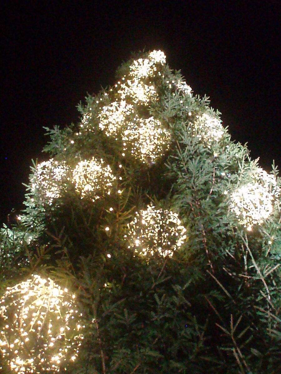 ноябрz2013 016.jpg
