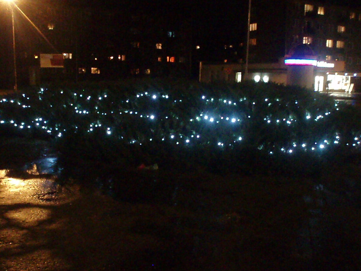 ноябрz2013 018.jpg