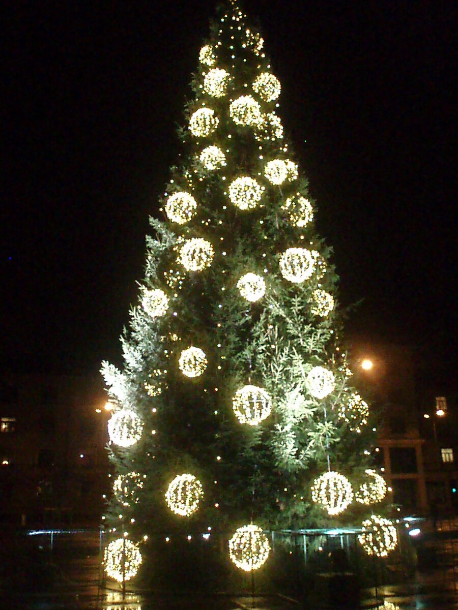ноябрz2013 019.jpg