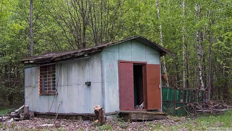 57.jpg
