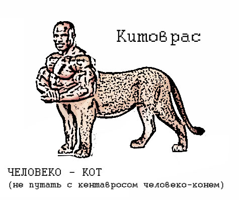 51268321_kitovras.jpg