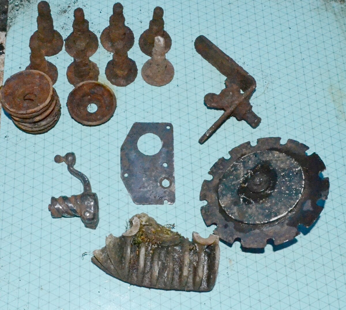 DSC_3114 у.JPG