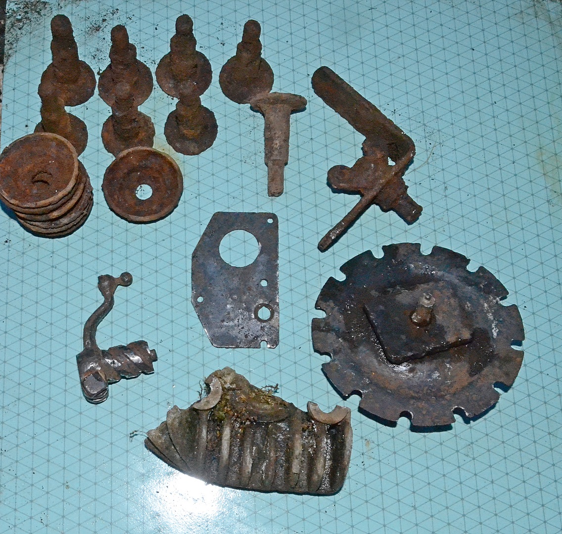 DSC_3115у.JPG