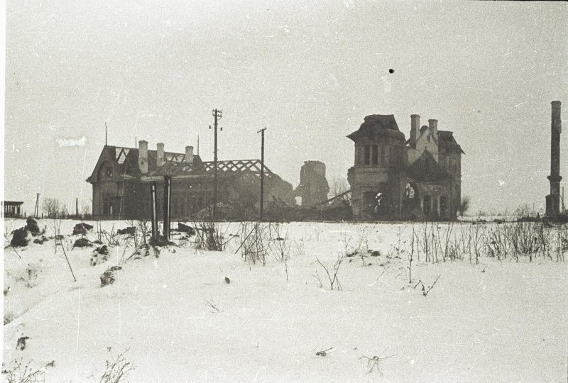 3619743.jpg