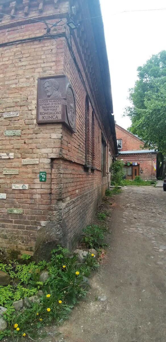 20210528_140120.jpg