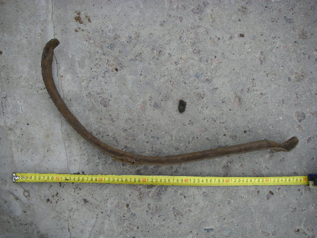 IMGP9406.JPG