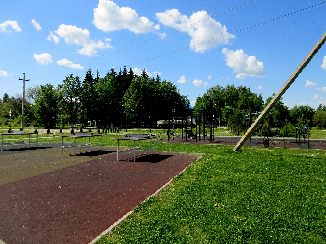 11.jpg