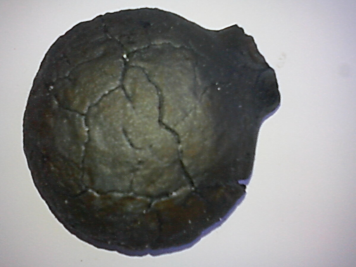 IMG_20131208_095155.jpg