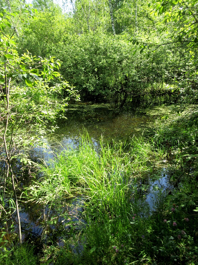 05.jpg