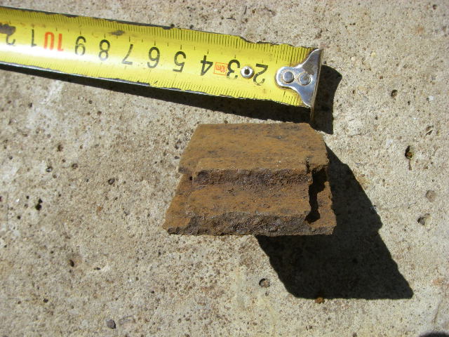 IMGP9274.JPG