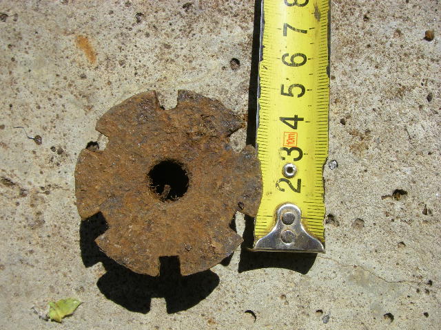 IMGP9295.JPG