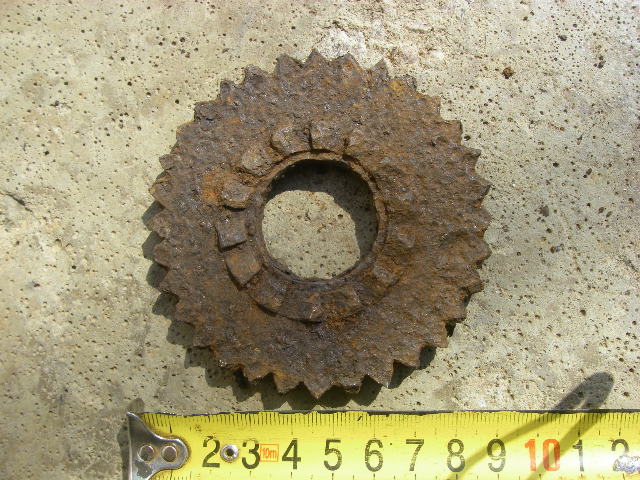 IMGP9700.JPG