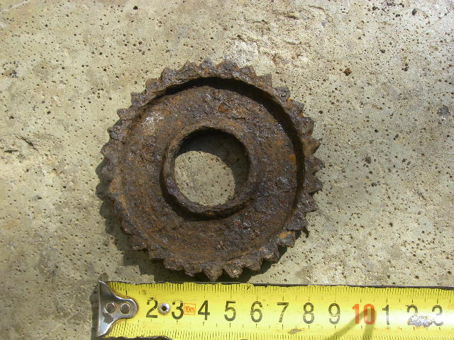 IMGP9701.JPG