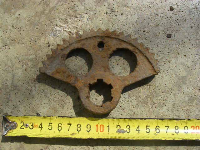 IMGP9703.JPG