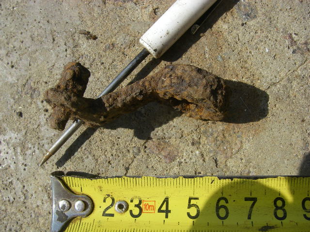 IMGP9716.JPG