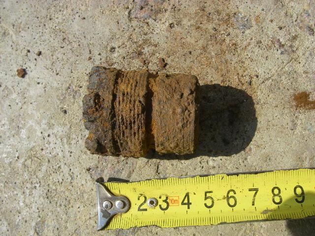 IMGP9732.JPG