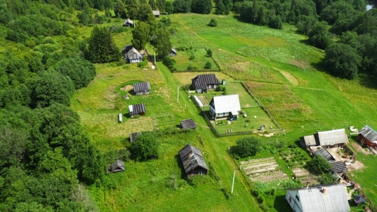 Медведки 8.jpg