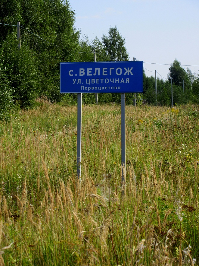 01.jpg