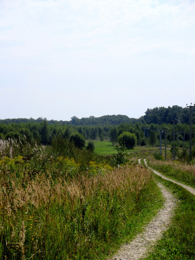 06.jpg