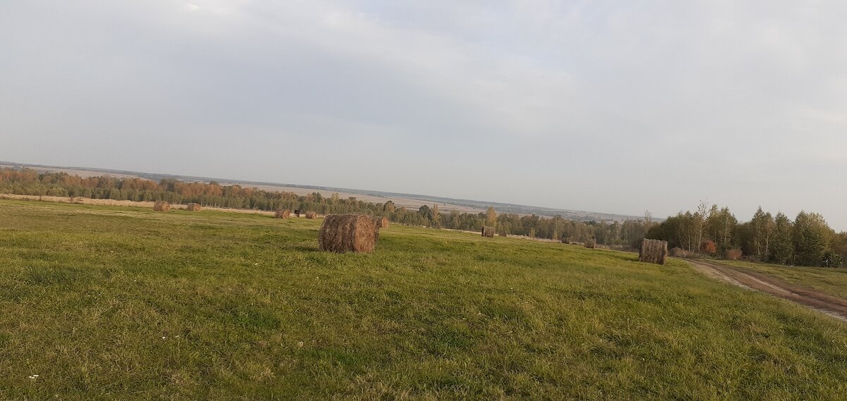 20201003_080524.jpg