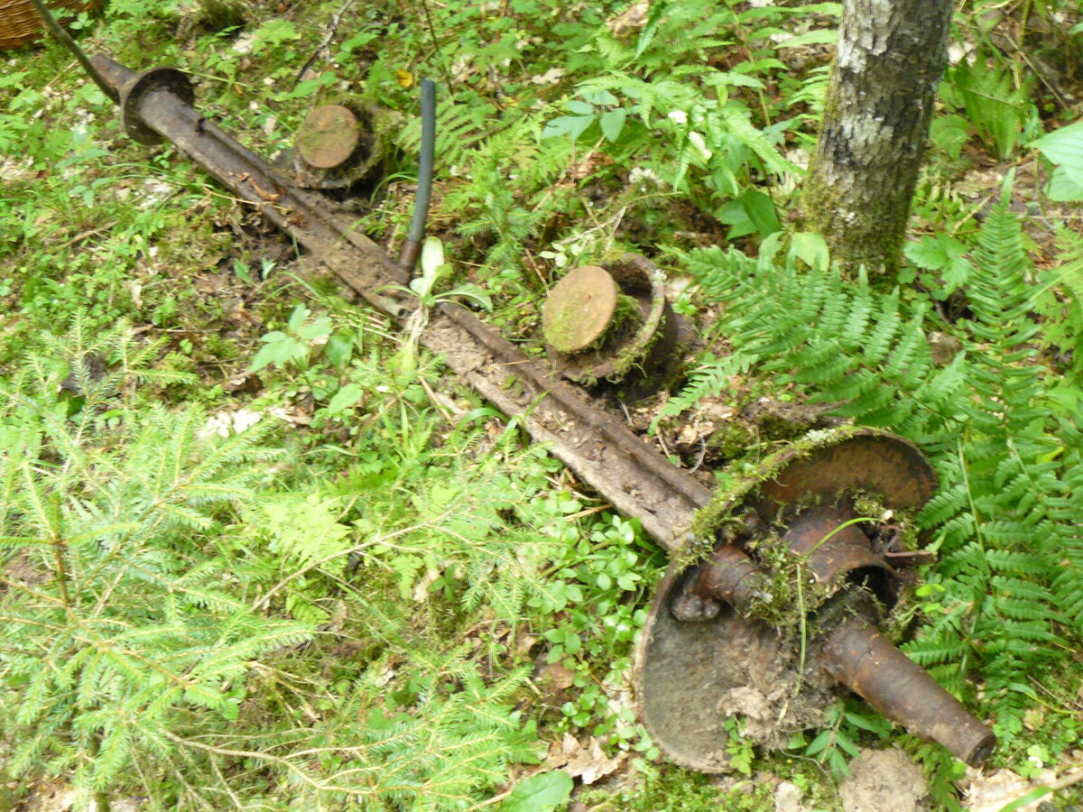 image-2021-09-11 11_03_37.jpg