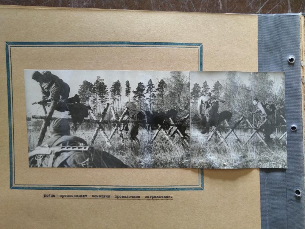 496032.jpg