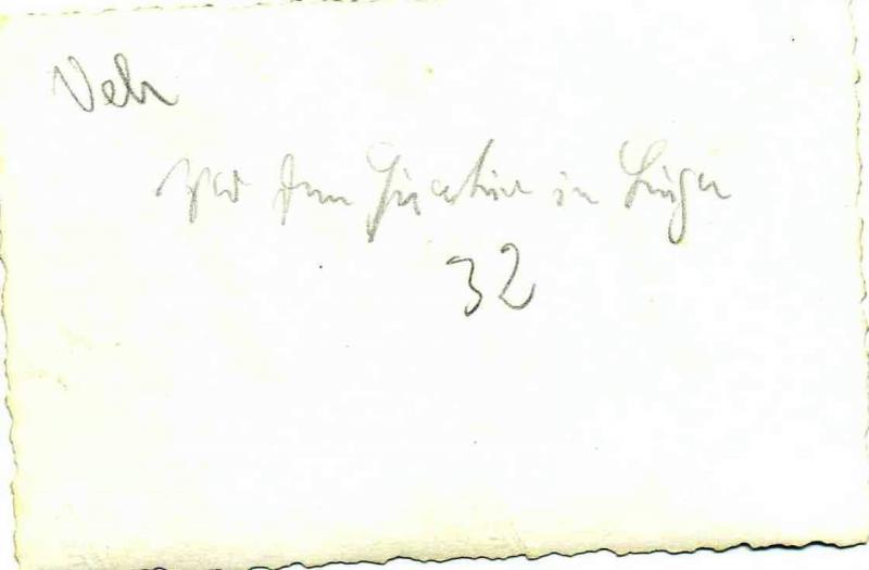 3586457.jpg