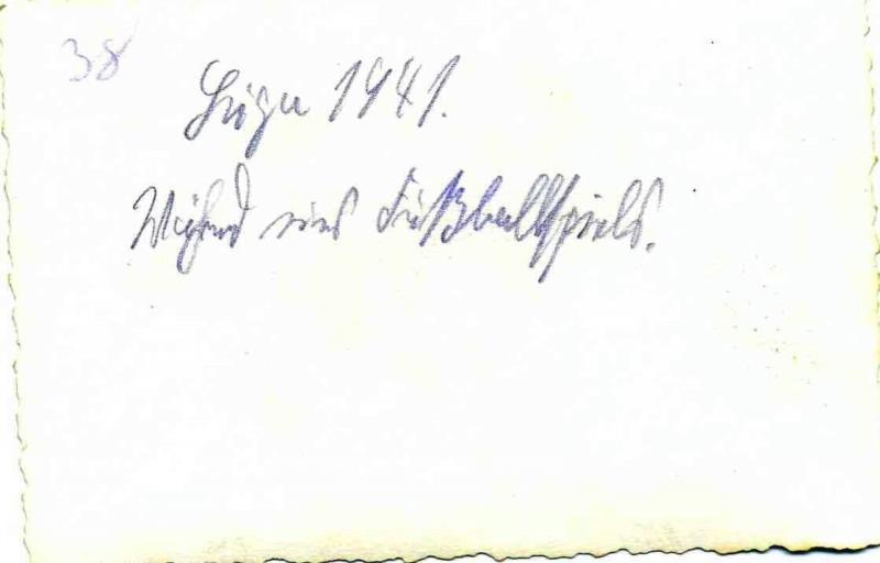 3586465.jpg