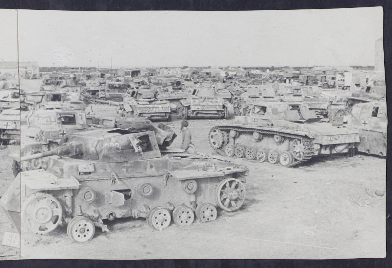4619487.jpg