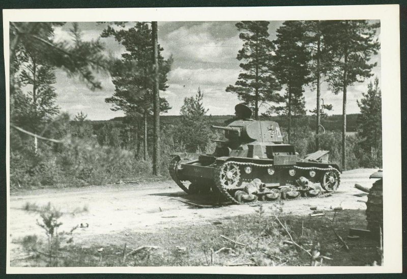 3815164.jpg