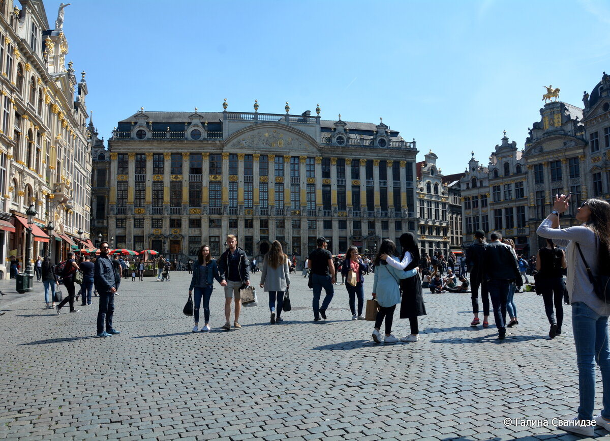 DSC_9865.JPG