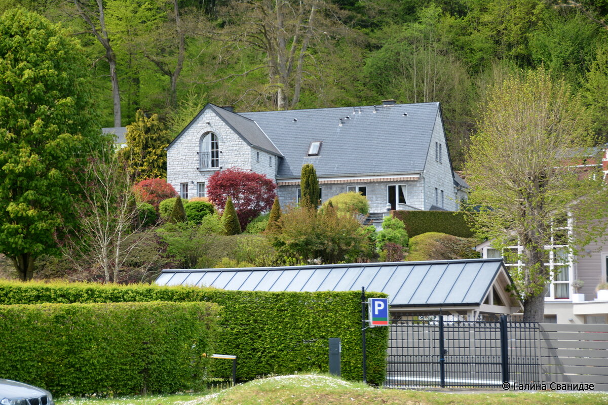 DSC_8069.JPG